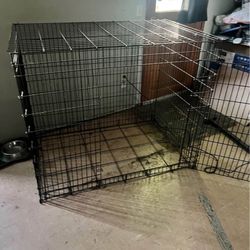 Dog Home 