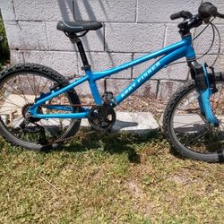 20-in Bikes, Boys And Girls, Just Tuned Up