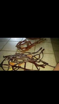 Horse and pony bridles