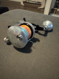 Accurate Tern 400 star drag salt water fishing reel