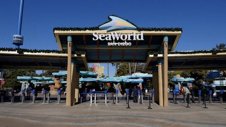 Seaworld tickets $15 each includes up close Parking