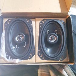 4x6" Two-Way Speaker System 