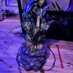 Fountain For Reptile Terrarium