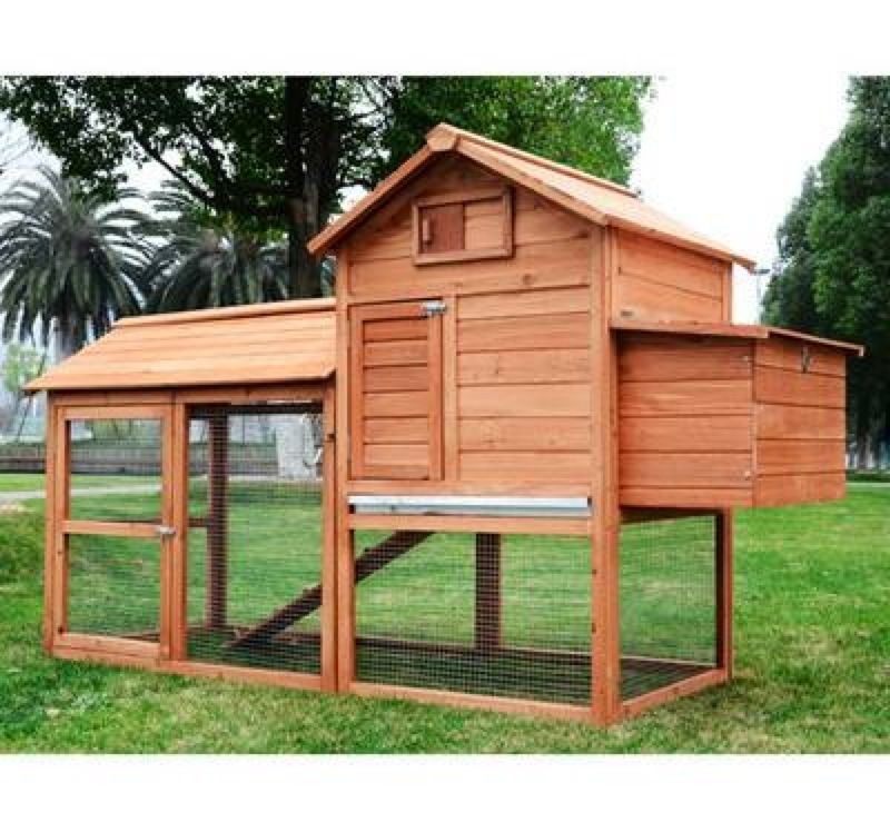 New Chicken Coop