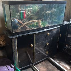 Reptile or fish tank