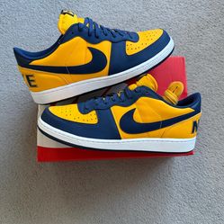 Nike Terminator Low OG “University Of Michigan” Shoes Size 12