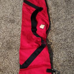 Ski bag