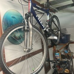 Bicycle Trek In Great Shape 