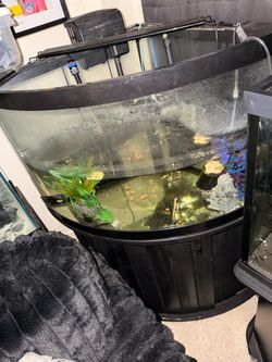 Fish tanks
