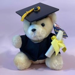 Vintage 1986 R. Dakin Congratulations Graduate Teddy Bear in Cap &amp; Gown Excelle… 