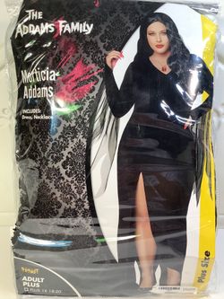 The Addams Family Morticia Costume