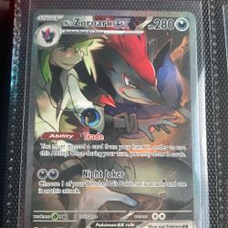 N’s Zoroark Sir (read Description)