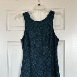 Lace Lined Dress
