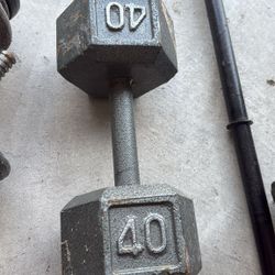 Gym Equipment