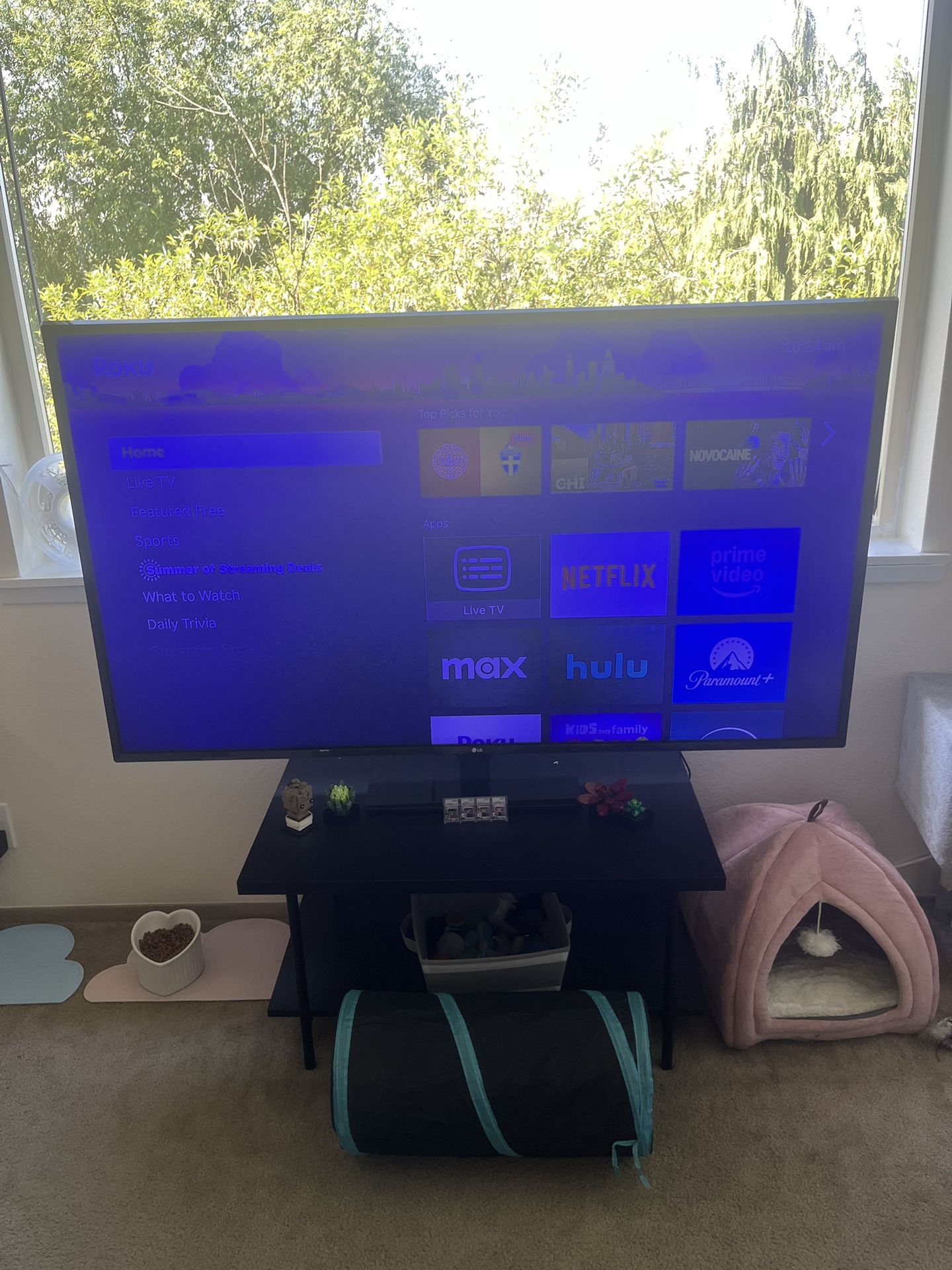 65” TV