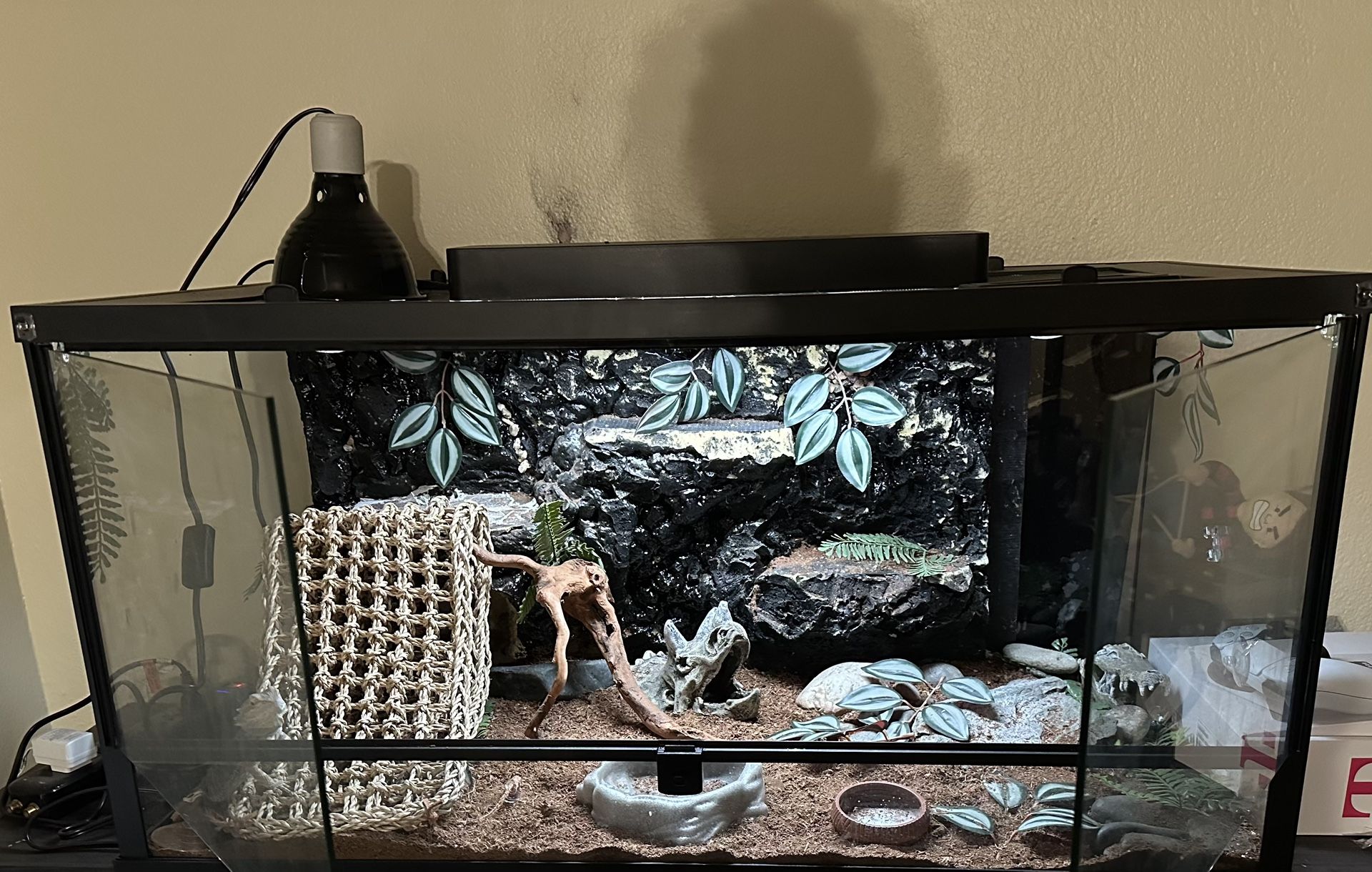 Custom Reptile Tank