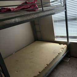 Full size Bunk bed