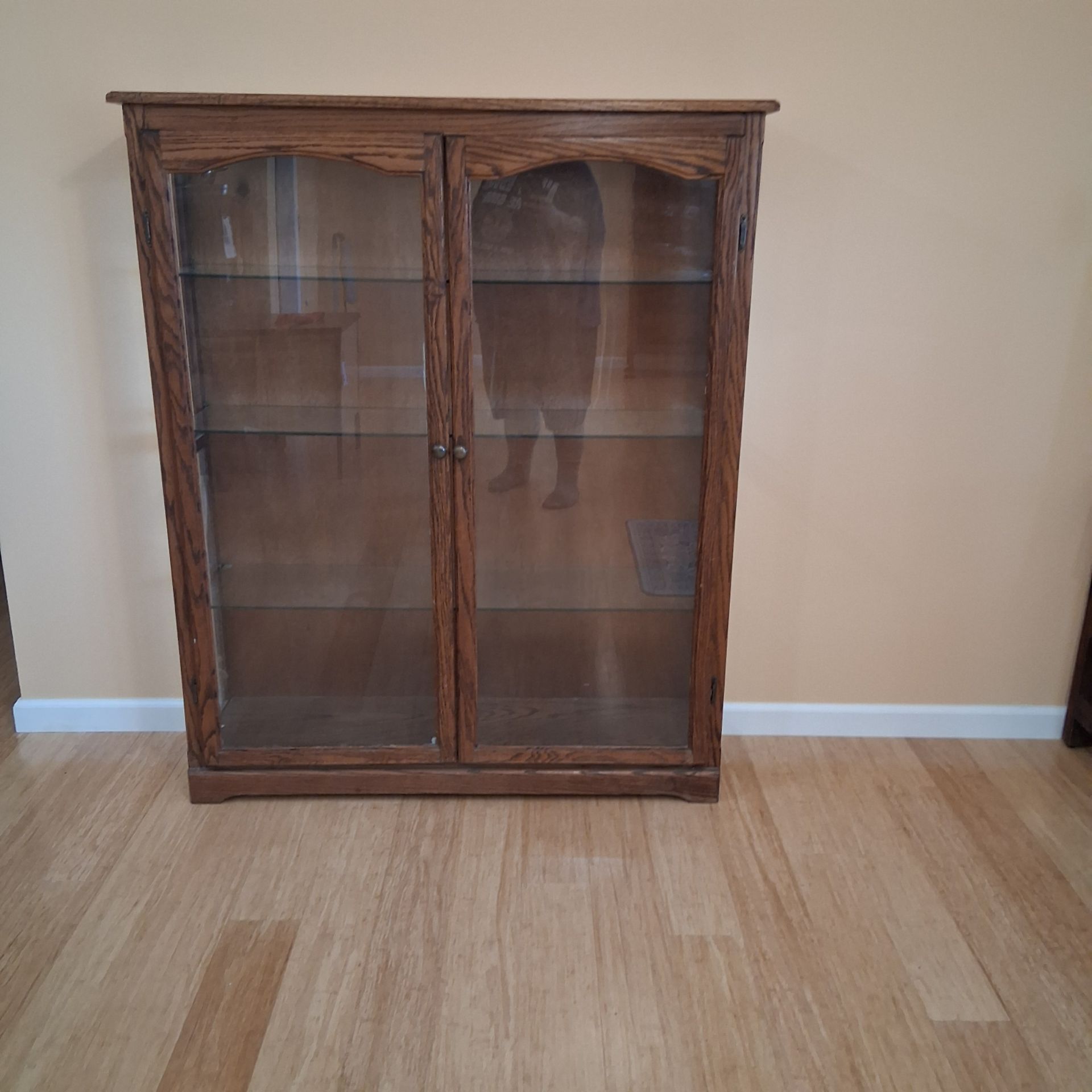 Wood and Glass Display Cabinet