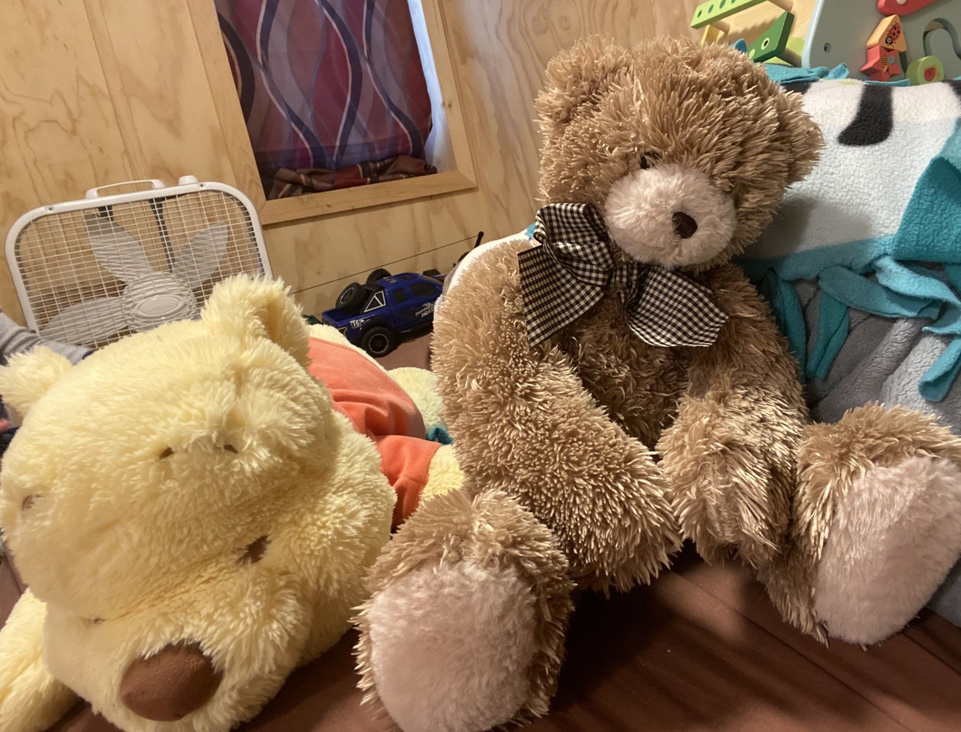 Teddy Bears