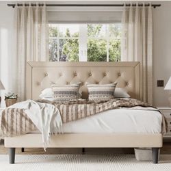 Queen Size Bed  New