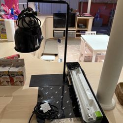FREE-Reptile Heating Lamps