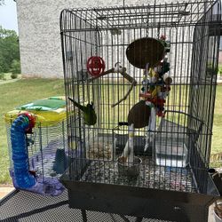 Pet Cages
