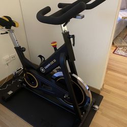 Spin/Indoor Exercise Bike