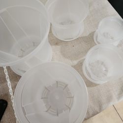 Plant Saucer And Pot 