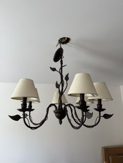 Light Fixture