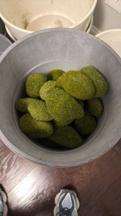 Moss rocks 5.00
