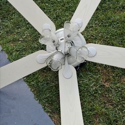 Gorgeous ceiling fan