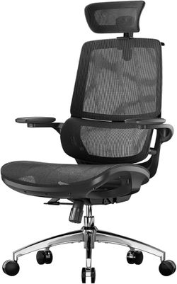 SIHOO M59AS Ergonomic Office Chair, Dual Backrest, Adaptive Lumbar Support