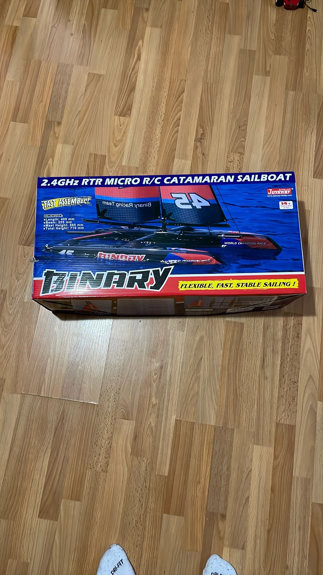 Binary R/C Catamaran Sailboat
