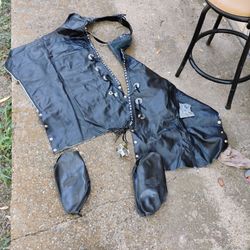 Harley Davidson Flaps