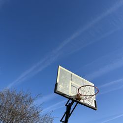 Basketball Hoop