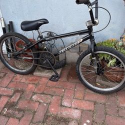 20” Redline Roam Bmx Bike $60