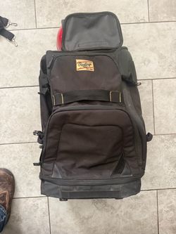 Catchers bag