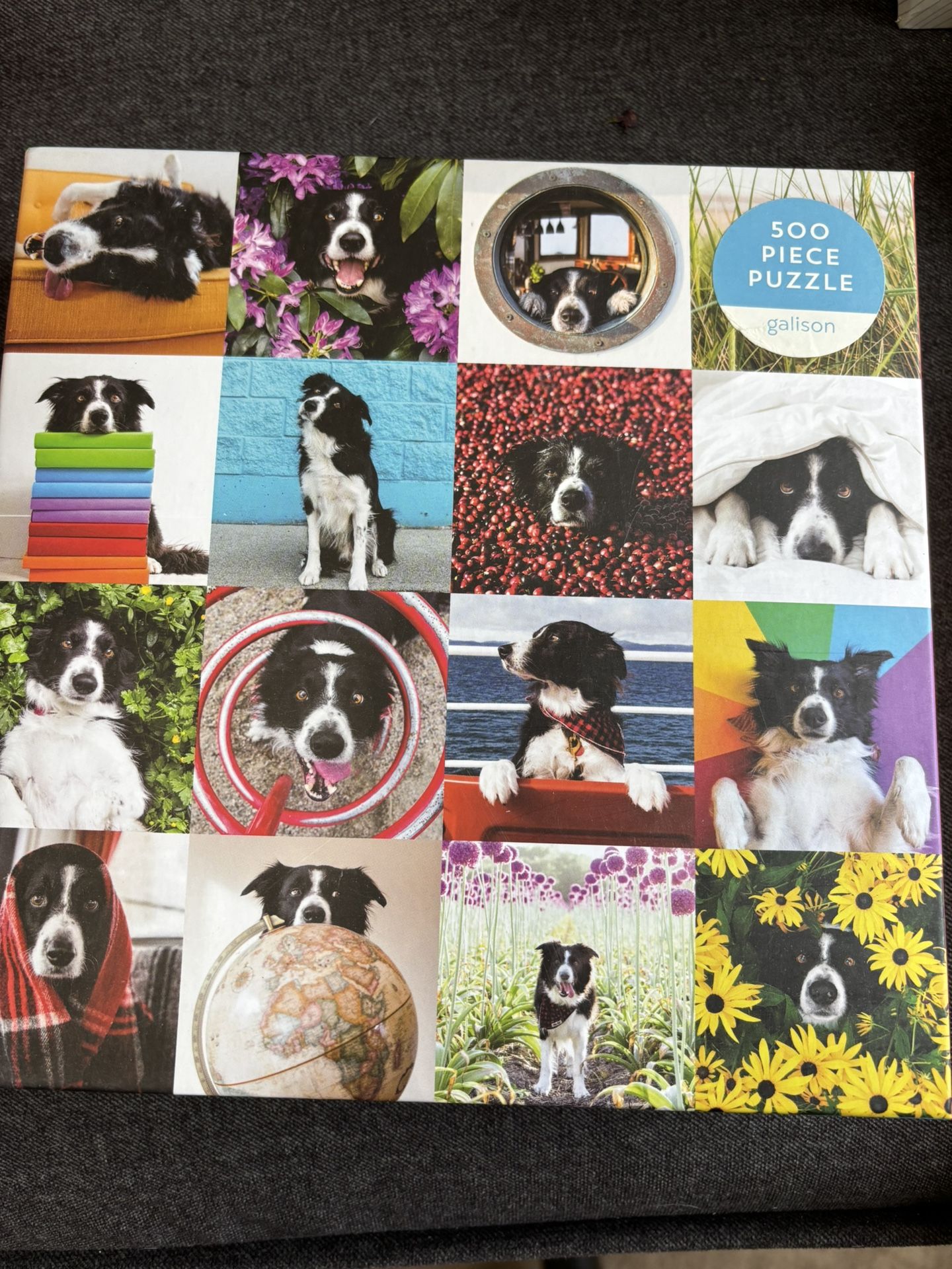 500 Piece Cute dog Puzzle