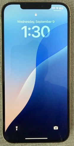Iphone 12 pro max unlocked