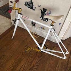 Bike Frame