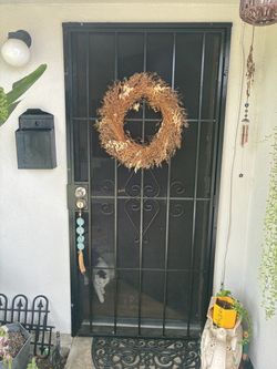 Black Metal Security Screen Door