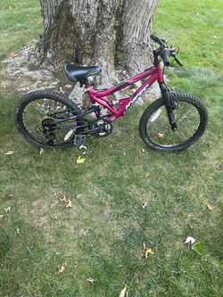 20” mountain bike