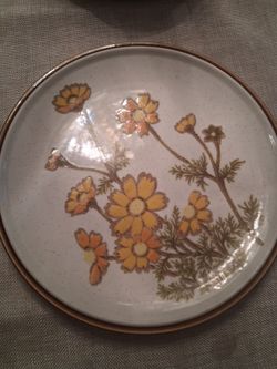 Kitchen plate