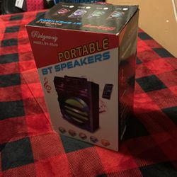 Portable BT speaker