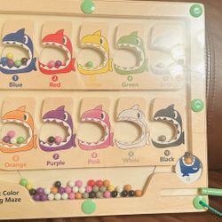 Magnet Color Counting Maze