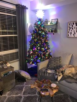 7.5 Ft Prelit Christmas Tree. Color OR White Lights.