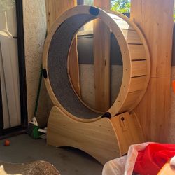 Cat Wheel