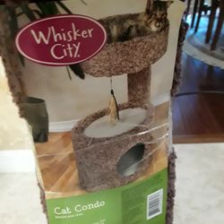 Brand New Cat Condo In Spring Hill Weeki Wachee
