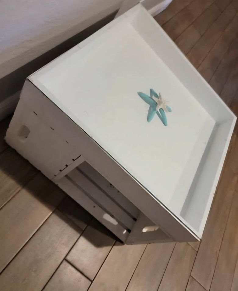 Coastal Glass Top SHADOW BOX Displat Style COFFEE TABLE 