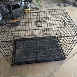 Medium Sized Dog Kennel, Dog Cage